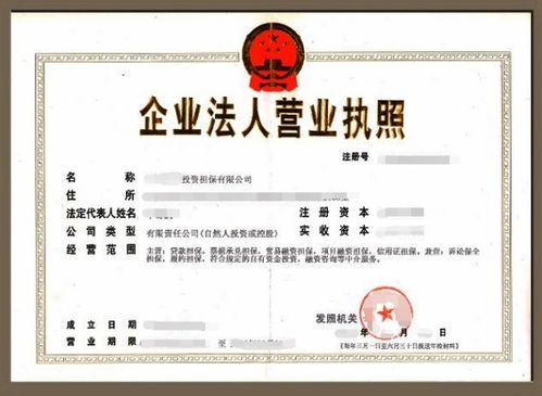 現(xiàn)在還能注冊(cè)投資公司嗎